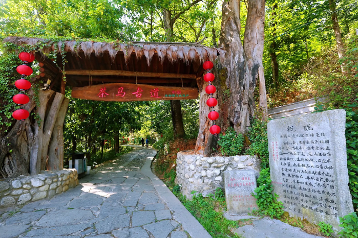 大理【鳳陽邑~茶馬古道】去有風的地方~拍攝地