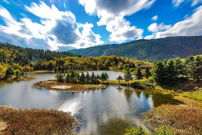 普達措國家公園 (金秋10月) (2)