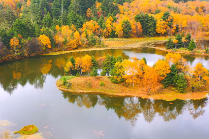 普達措國家公園 (金秋10月)