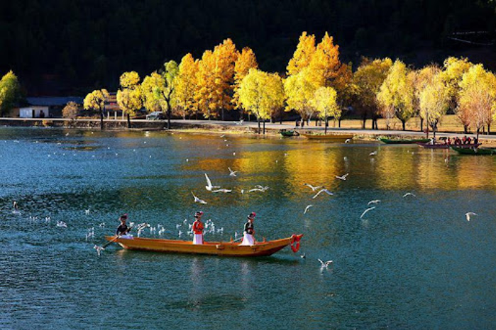 瀘沽湖風景區景觀臺 豬槽船遊湖