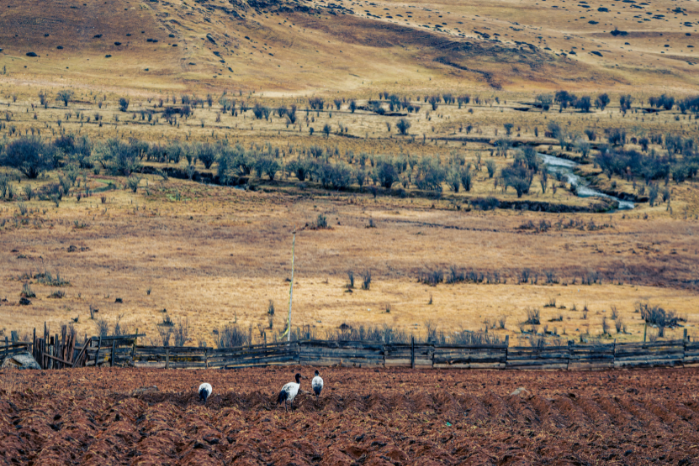 官網圖片尺寸 (4)