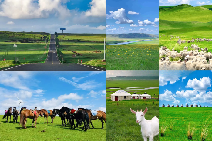 希拉穆仁大草原 (4)