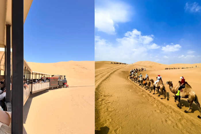 響沙灣 沙漠小火車+騎駱駝