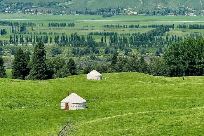 2.伊犁河谷 (那拉提空中草原 (2)