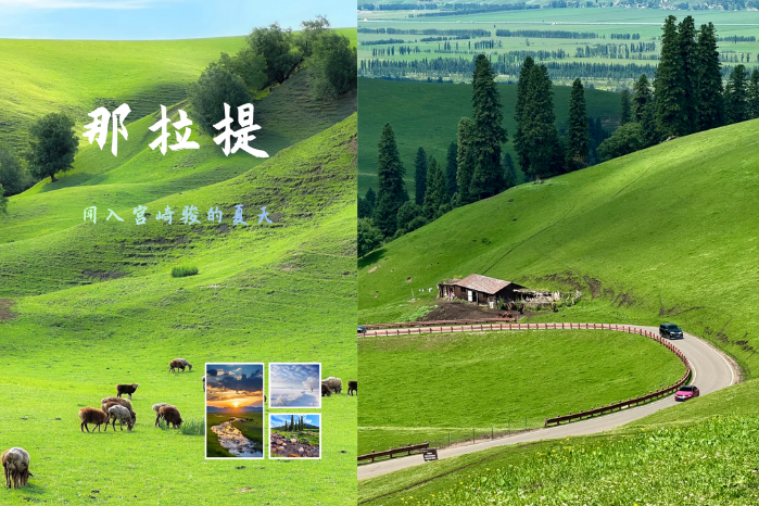 2.伊犁河谷 (那拉提空中草原