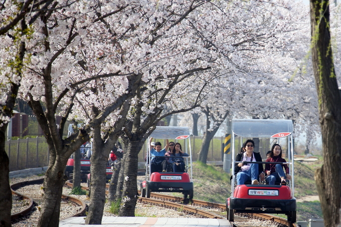 art_170071479704_d99c27