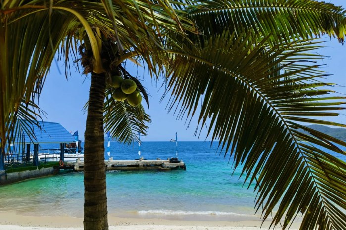 芽莊【蠶島出海遊Hon Tam】 (7)