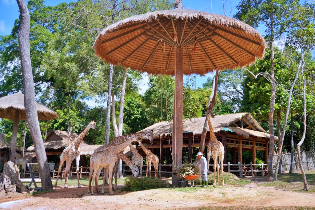 SAFARI